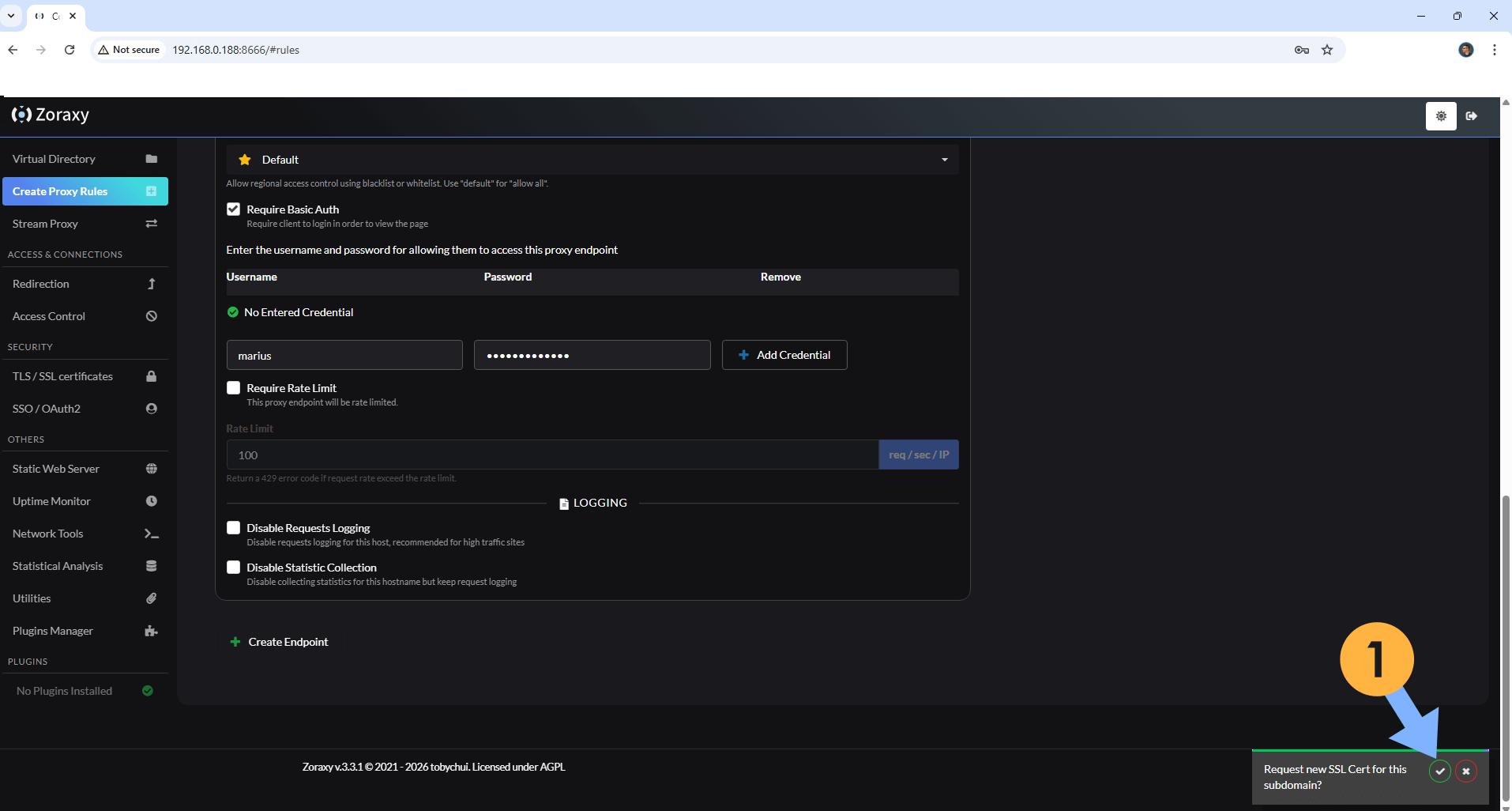 Zoraxy UGREEN NAS Set up 15