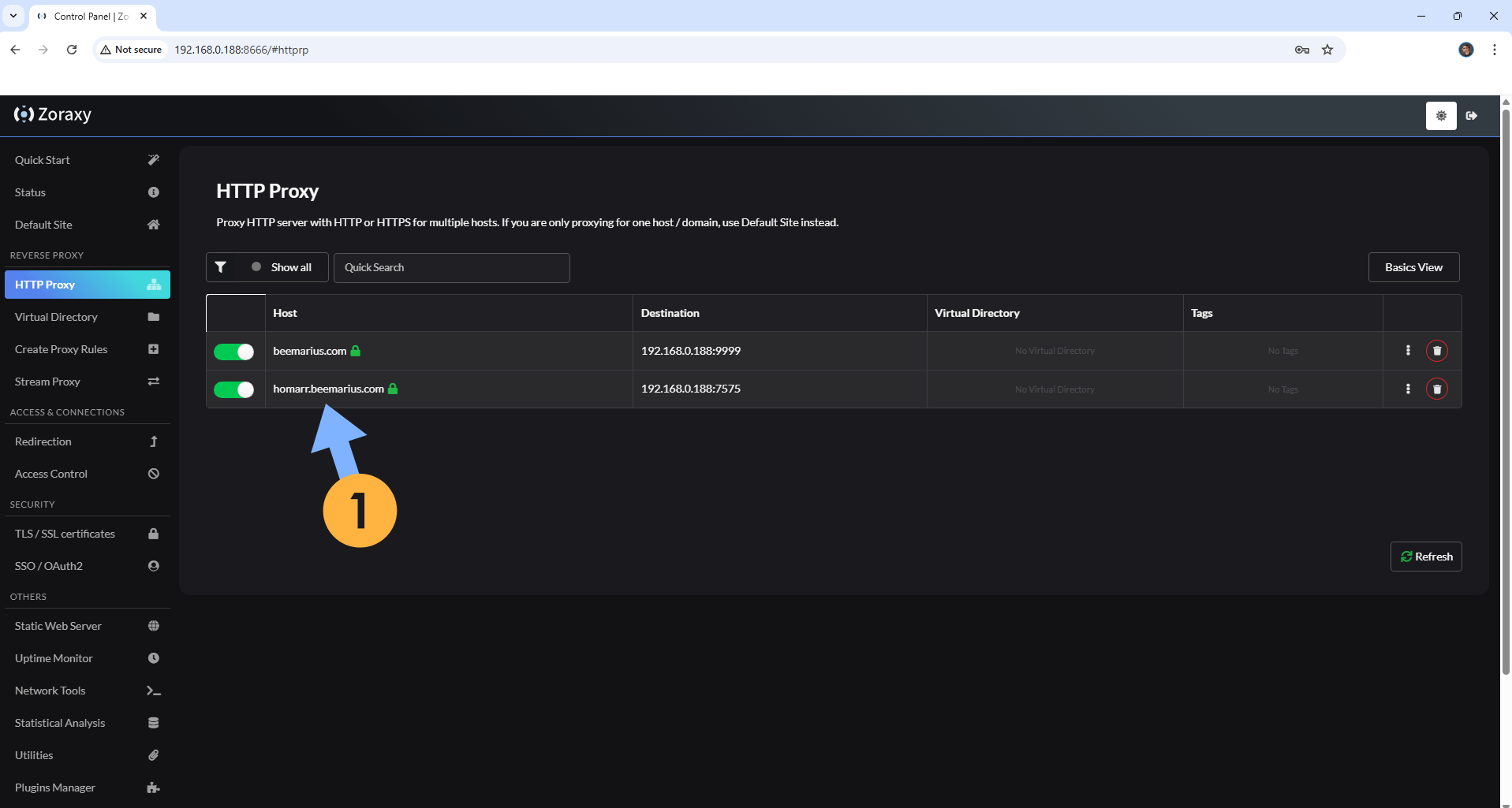 Zoraxy UGREEN NAS Set up 16