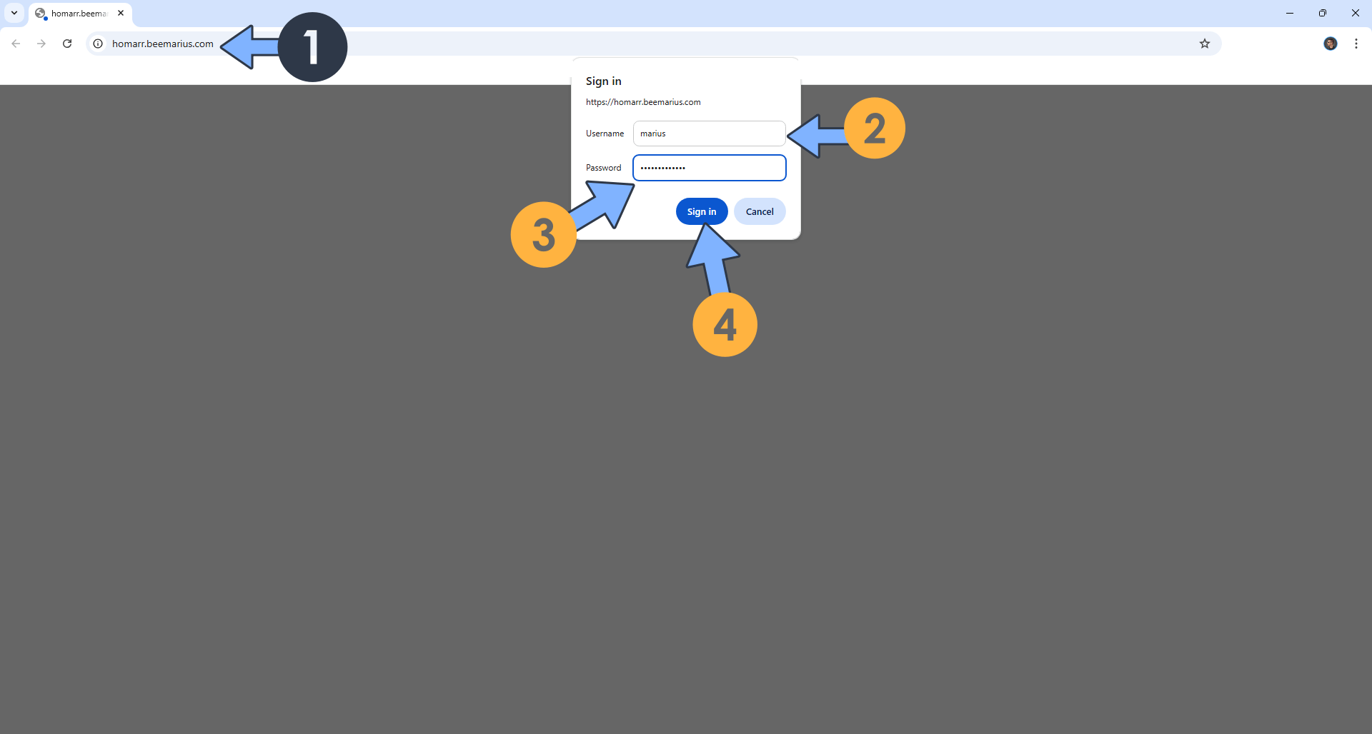 Zoraxy UGREEN NAS Set up 17