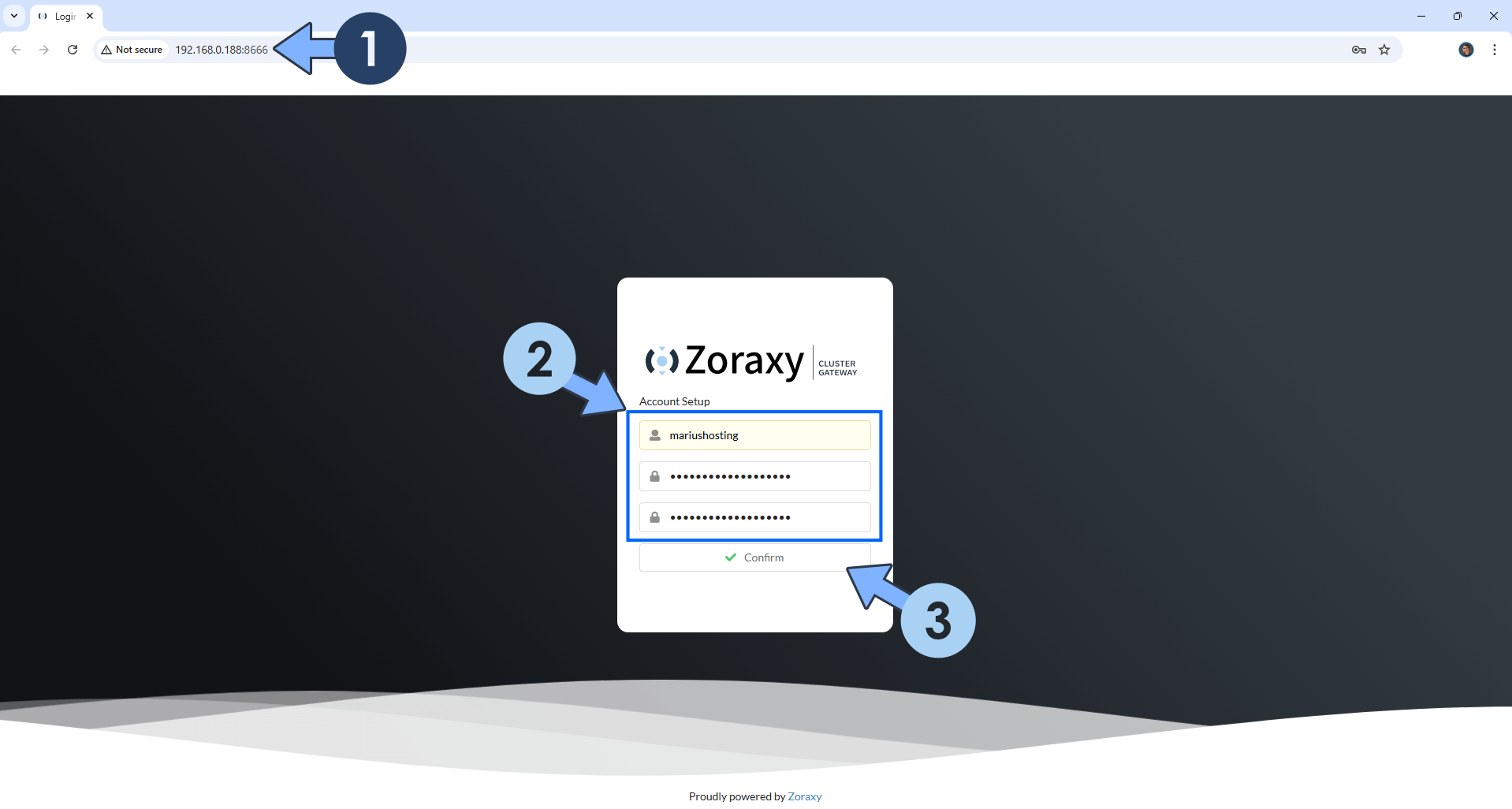 Zoraxy UGREEN NAS Set up 5