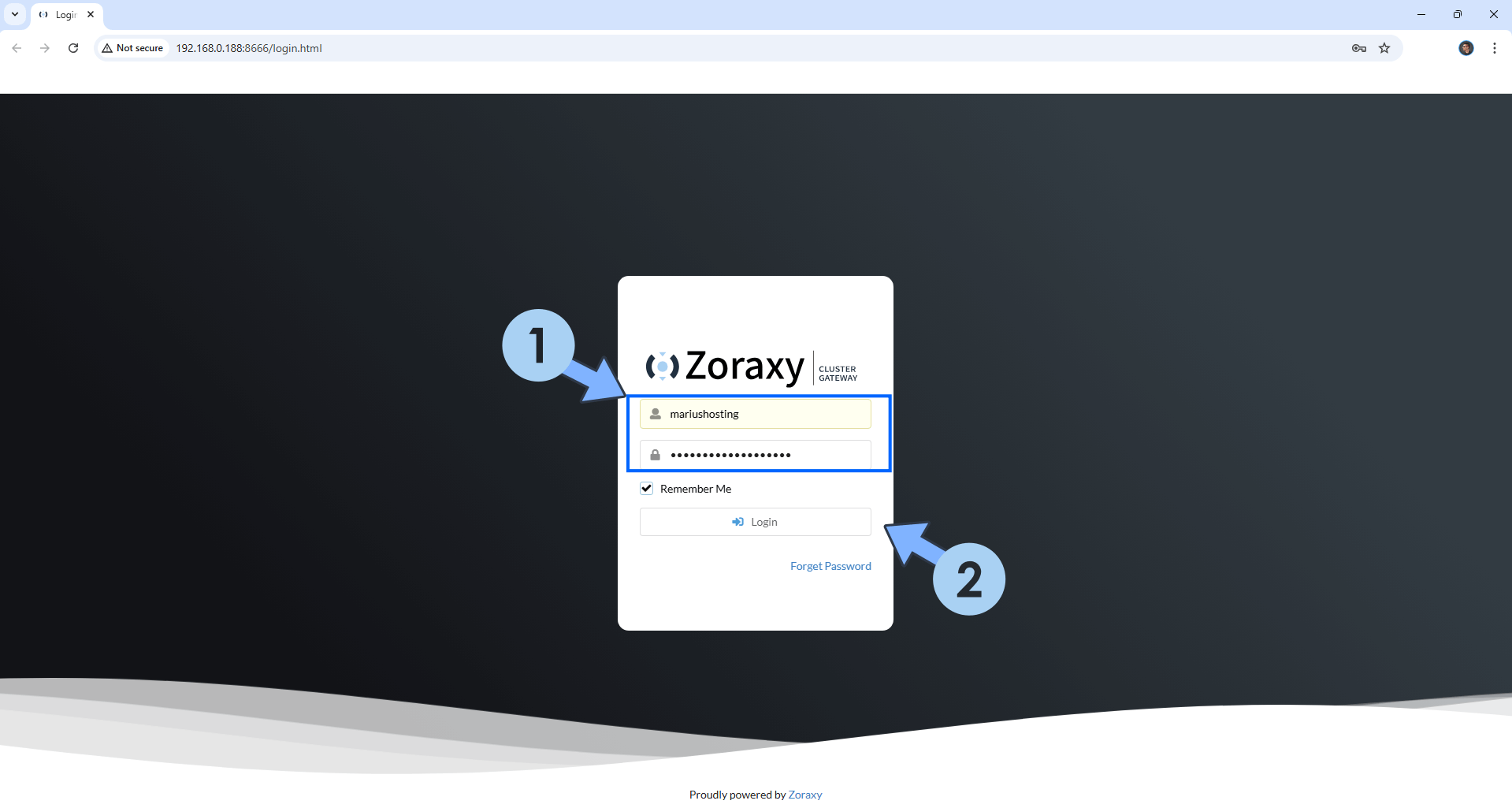 Zoraxy UGREEN NAS Set up 6