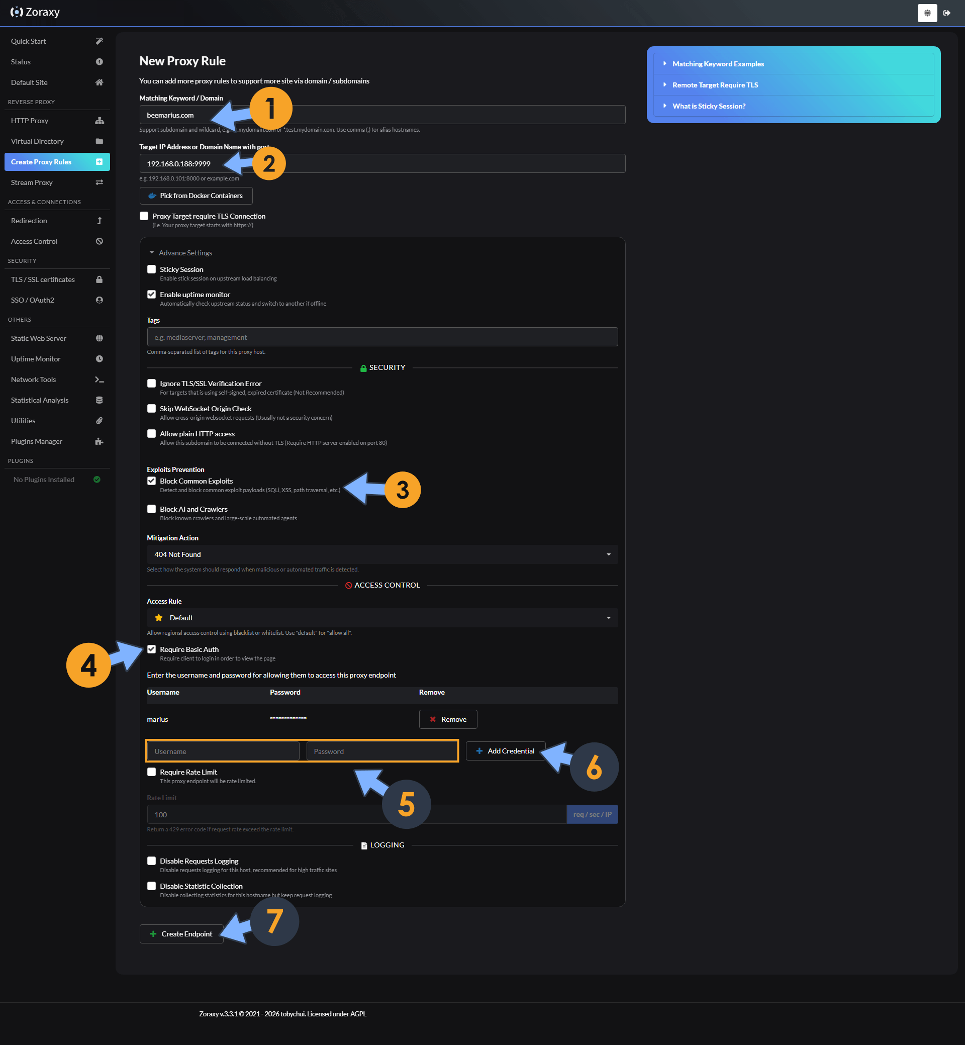 Zoraxy UGREEN NAS Set up 9