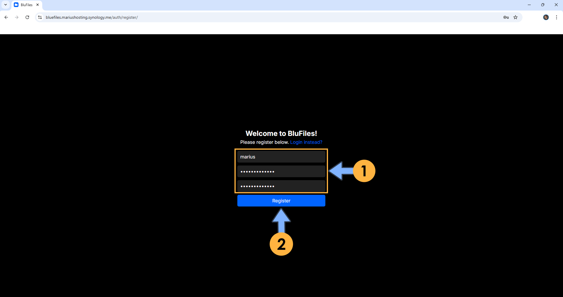 BlueFiles Synology NAS Set up 11