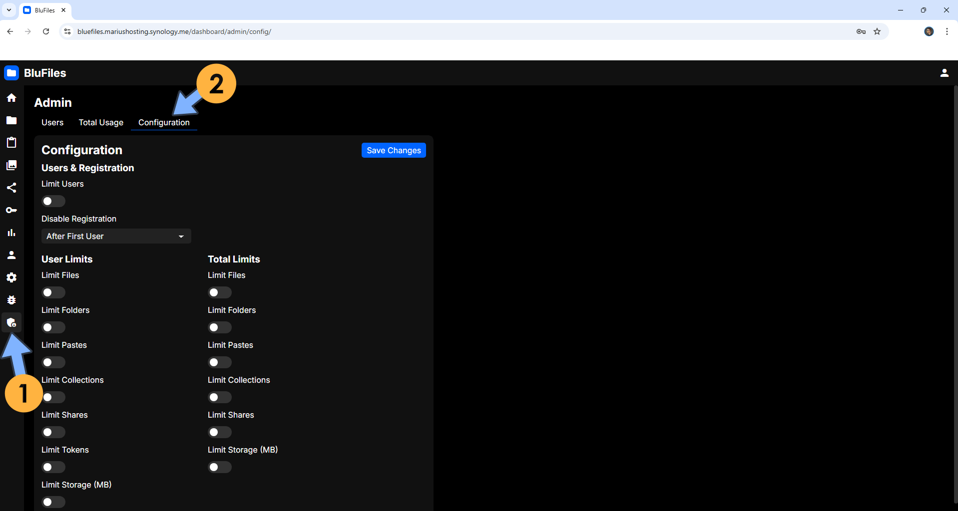 BlueFiles Synology NAS Set up 12