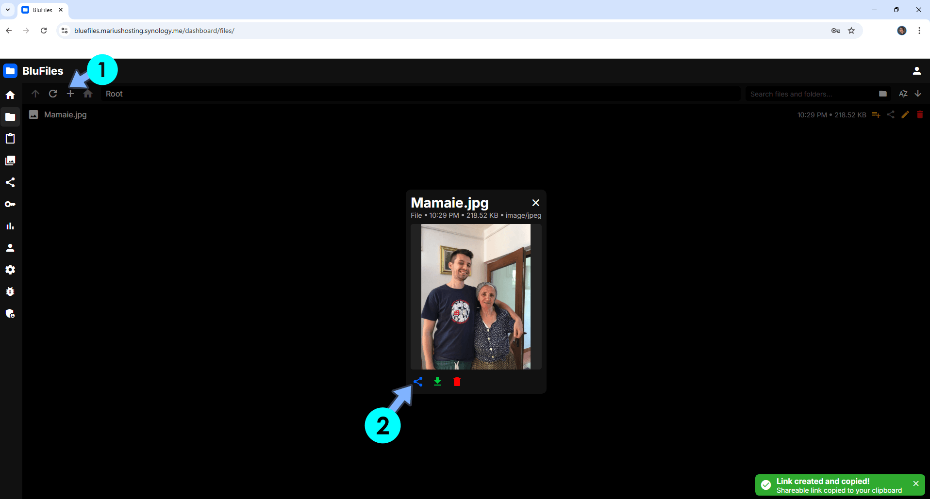 BlueFiles Synology NAS Set up 13