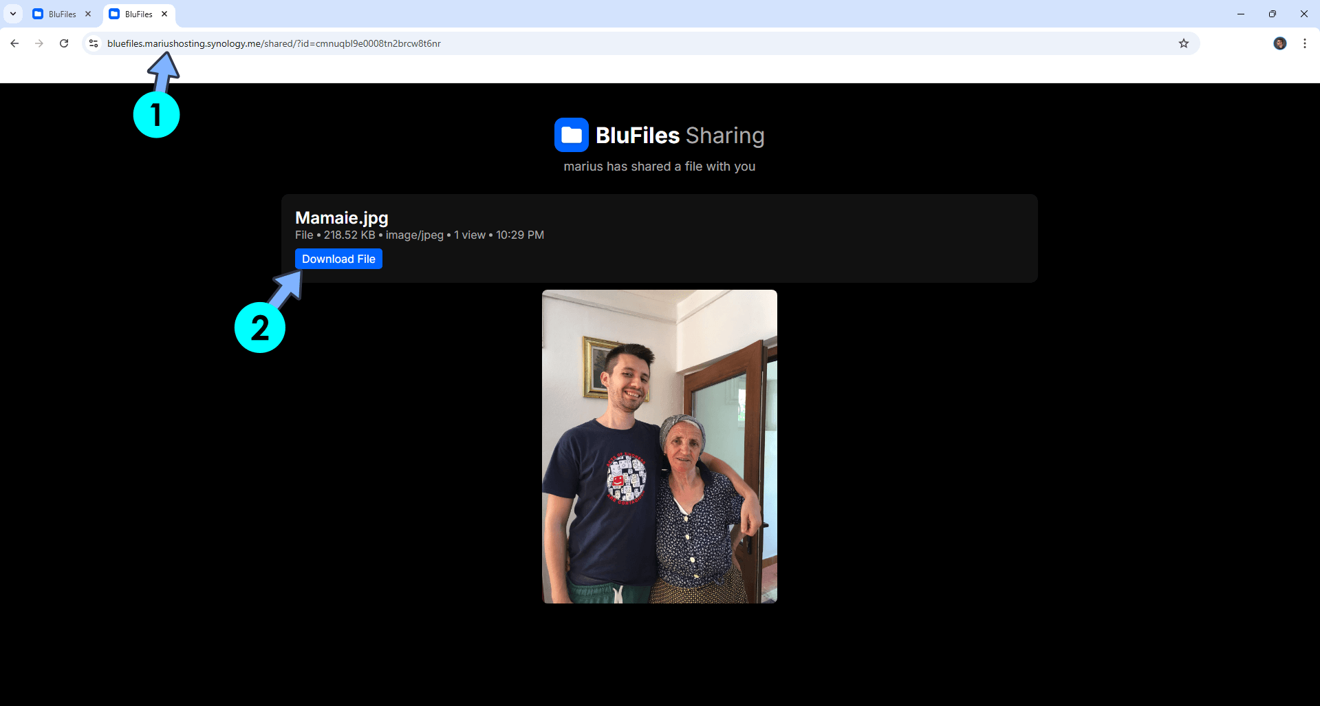 BlueFiles Synology NAS Set up 14