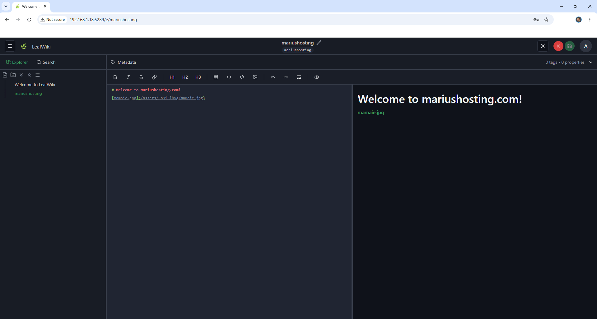 LeafWiki Synology NAS Set up 7