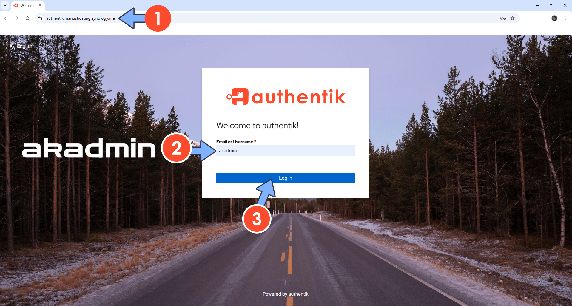 Authentik Synology NAS Set up 10