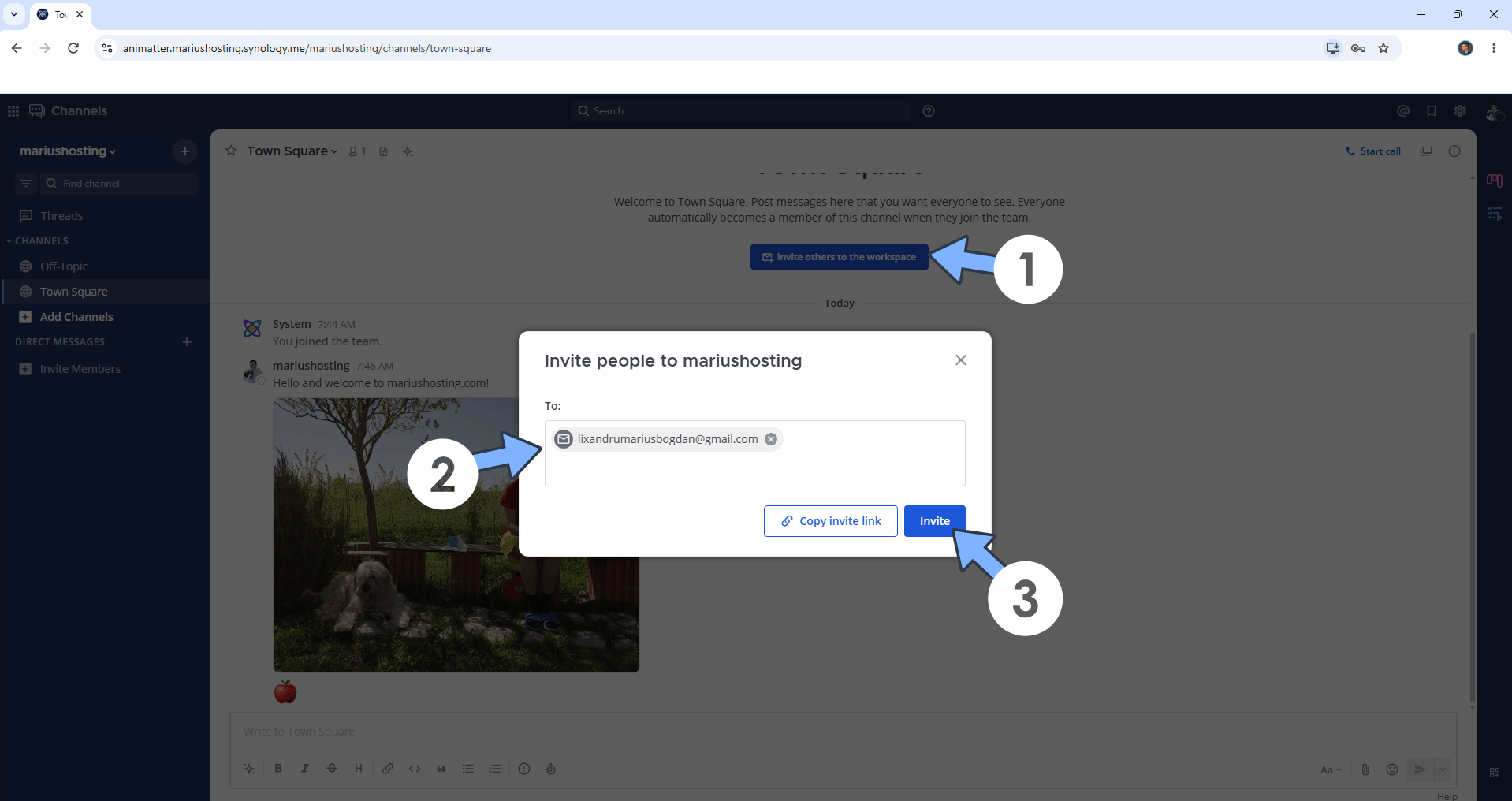 Antimatter Email Notification Set up 3