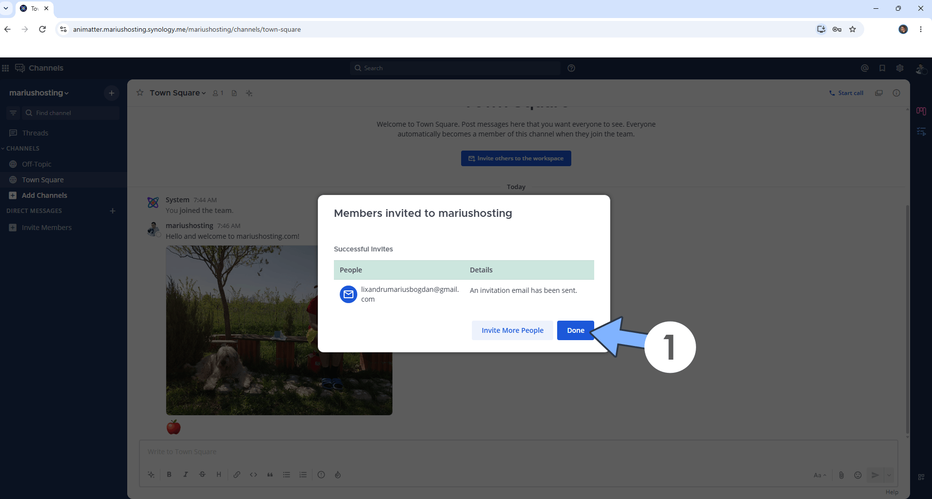 Antimatter Email Notification Set up 4