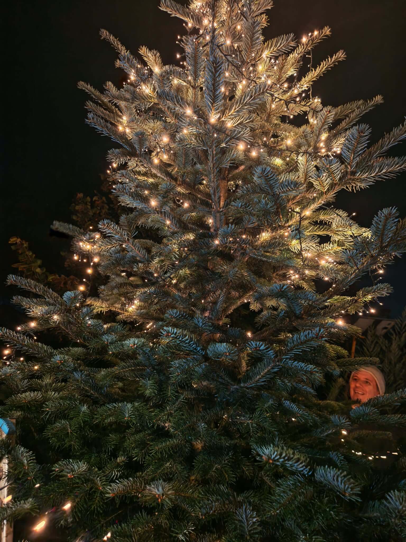 Christmas marius 2026