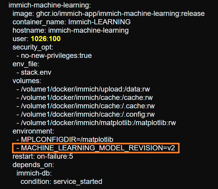 synology nas immich-machine-learning
